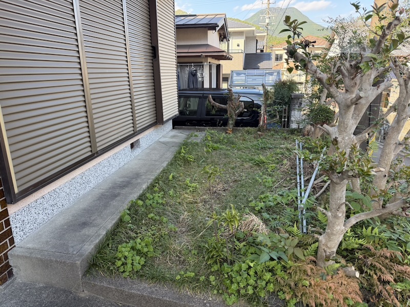 スライドショーの画像