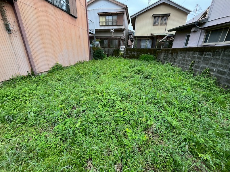 スライドショーの画像